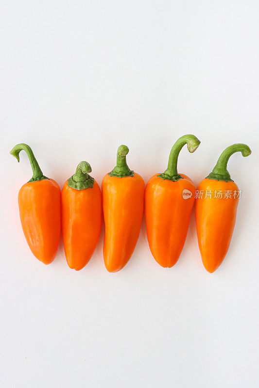 一排橙色迷你辣椒(Capsicum annuum)的图片，白色背景，高架视图，复制空间